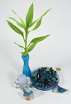 Aroma Blue Flower